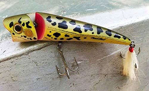 Creek Chub Knuckle Head Jointed Topwater Fishing Lure with Chugging and Popping Action - color: Threadfin Shad