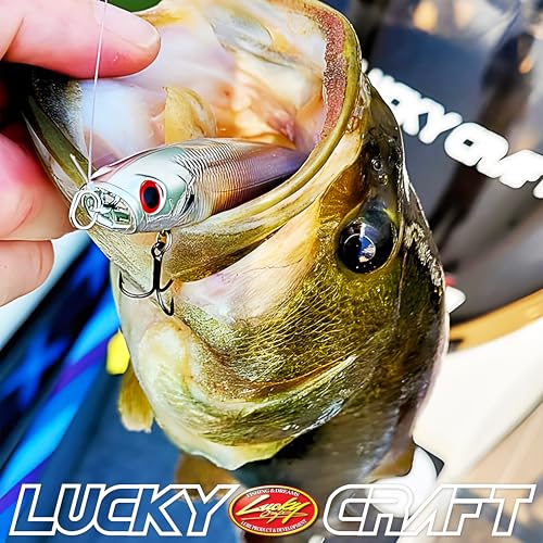 LUCKY CRAFT Gunfish 95NF Top Water Bass Fishing Lures, 4” Floating Lure with Cupped Mouth, Freshwater Trout and Bass Lures Fishing Gear, Accessories for Tackle Box - color: 338 Live Ghost Minnow