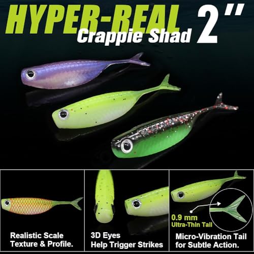 Crappie Baits Kit –40 & 135 Piece Soft Plastic Underspin Jig Heads, Shad Minnow Lures Set for Crappie Fishing Panfish Bluegill Perch Trout - color: 40 PCS — Starter Crappie Kit