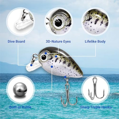 5PCS Micro Crankbait Fishing Lures Set, Lifelike 3D Eyes Hard Bait with Sharp Treble Hooks, Freshwater Saltwater Lures for Bass Trout Perch Walleye Pike, Tackle Box Included