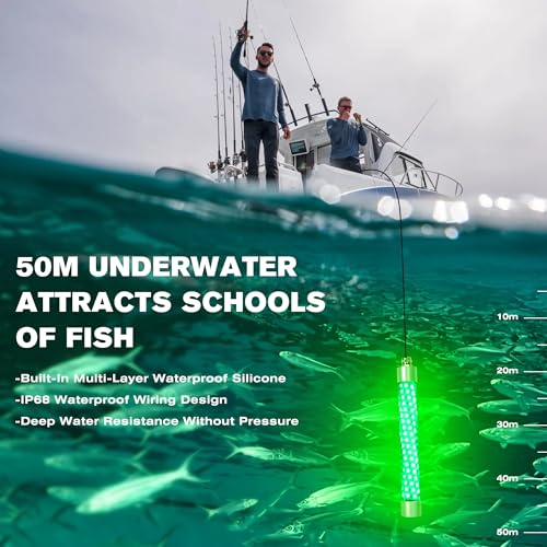 F2 110V &12V Underwater Fishing Light 100W 10000lm Bright Fish Attracting Light for Boat Docks Kayaks at Night, Submersible Green Light for Crappie Snook Bass Squid Bait Catfish(16.4ft Cord) - size: 16.4FT F2