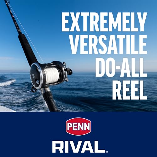 PENN Rival Level Wind Conventional Fishing Reel - size: 20, style: Old Model