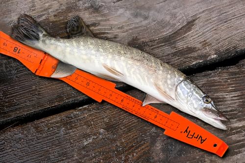 AirFly Fish Measuring Board 32 Inch Foldable Bump Board - Built-in Crab Lobster Gauge - Slot-Limit Ruler for Redfish Snook Trout Flounder - Kayak Boat Shore - High-Contrast ABS - Designed in USA