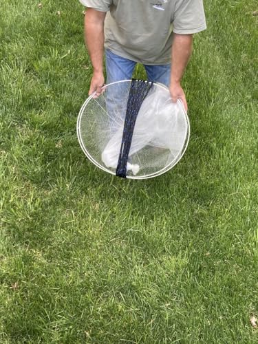 Ballyhoo Bait Net - Collapsible Hoop Net - Folds for Easy Storage
