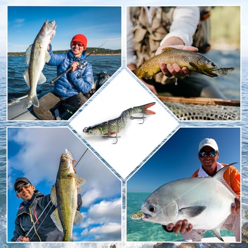 Goture Bass Fishing Lures, Lifelike Jointed Swimbait for Bass Trout Walleye Crappie Pike, Slow Sinking Segment Swimming Bait Fishing Lures for Freshwater and Saltwater, Gifts for Men - color: E3:12pcs Bass Lures with 40pcs Snaps