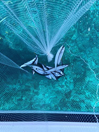 Ballyhoo Bait Net - Collapsible Hoop Net - Folds for Easy Storage