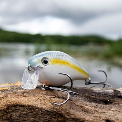 Strike King KVD 2.5 Wake Bait Fishing Lure, 3/8 oz, Unique Clacking Sound - color: 590 - Sexy Shad