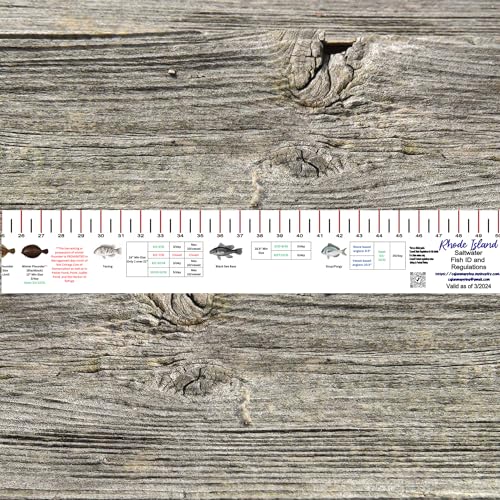 STATE COASTAL FISH RULER with FISH ID and FISHING REGULATIONS - 50 INCH RULER DECALS - style: Rhode Island