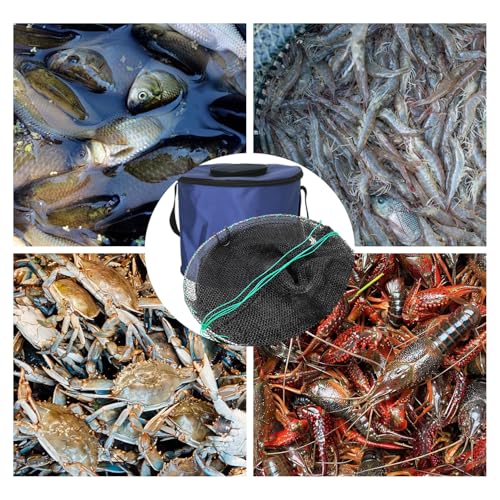 Minnow Trap with Foldable Fishing Net (11x24 Inch) & Collapsible Fish Bucket - Crab, Crawfish, Shrimp Trap for Freshwater Saltwater Fishing