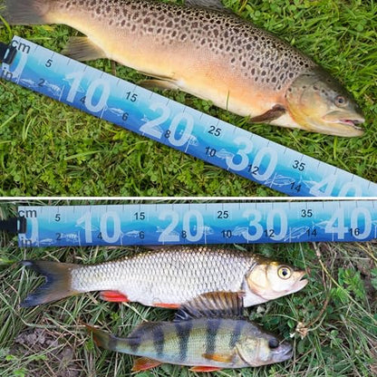 35in Fish Ruler Waterproof Fish Measuring Tape Foldable Fishing Ruler | 2 Packs Portable Folding Fishing Tape Measure with Storage Strap, Fish Measuring Tool for Boats Kayaks Coolers (Blue)