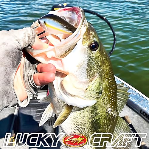 LUCKY CRAFT LC 2.5 Silent Crankbait Fishing Lures, 2-3/8” Squarebill Crankbait, Bass Lures, Floating 4ft Depth Hard Bait, Champion Freshwater Fishing Gear and Tackle Box Accessories - color: 137 TO Craw