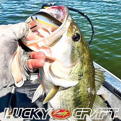 LUCKY CRAFT LC 2.5 Silent Crankbait Fishing Lures, 2-3/8” Squarebill Crankbait, Bass Lures, Floating 4ft Depth Hard Bait, Champion Freshwater Fishing Gear and Tackle Box Accessories - color: 137 TO Craw