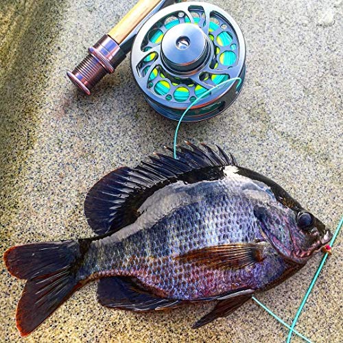Piscifun Sword Fly Fishing Reel, CNC-Machined Aluminum Alloy Fly Reel - size: 7/8wt, style: Gray-without Line
