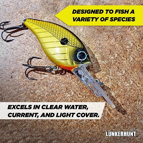 Lunkerhunt Impact Jolt | Crankbait, Deep Diving Hard Bait Fishing Lure | Flat Sided Square Bill, Clear Water, Fresh Water Lure for Bass Fishing, Trout and Spike, Crappie - color: Shock Yellow