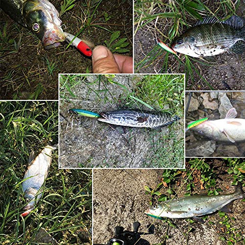Fishing Lures Hard Bait Minnow Swimbait Crankbait Jerkbait Lure with Treble Hooks 3D Eyes Freshwater Saltwater Fishing Lures for Bass Trout Walleye Pike Catfish - color: B-10pcs-4.5in/0.46oz