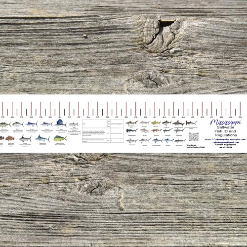 STATE COASTAL FISH RULER with FISH ID and FISHING REGULATIONS - 50 INCH RULER DECALS - style: MIssissippi