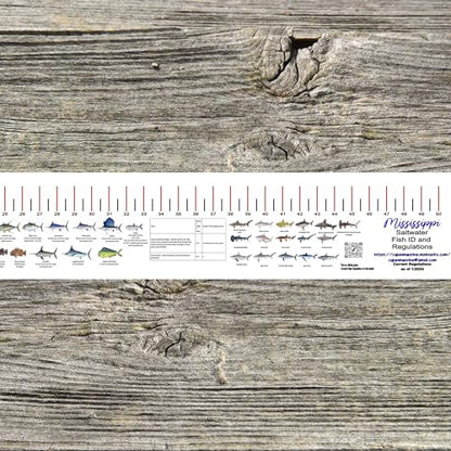 STATE COASTAL FISH RULER with FISH ID and FISHING REGULATIONS - 50 INCH RULER DECALS - style: MIssissippi