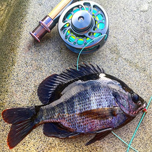 Piscifun Sword Fly Fishing Reel, CNC-Machined Aluminum Alloy Fly Reel - size: 3/4wt, style: Gray-without Line