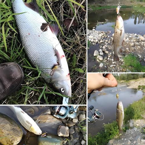 10-Piece Mini Fishing Lures Set Micro Hard Bait Crankbaits Versatile Lures for Freshwater Saltwater Trout Bass Perch with Storage Box Fishing Tackle Gift