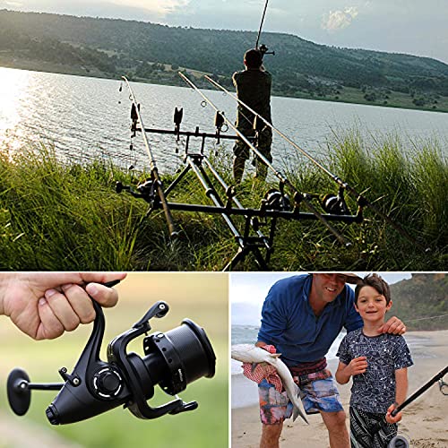 Sougayilang Spinning Fishing Reel 12+1BB Metal Body Smooth Carp Spinning Reels for Saltwater Freshwater Fishing - color: BE9000