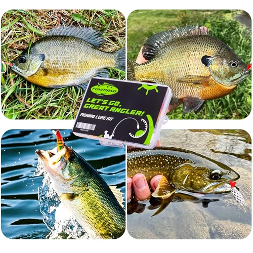 FONMANG Fishing Lures - Fishing Tackle kit with Fishing Spoons, Swim Bait, Jerk baits, Lure & Fishing Accessories, Bass Fishing Kit Also for Trout, Bluegill, Small Fishing Tackle Box for Freshwater