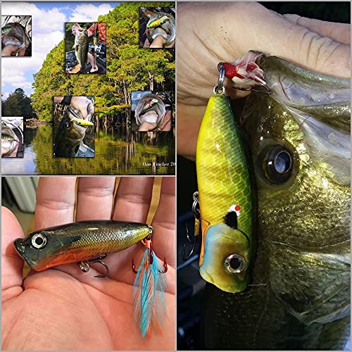 10 Blank Unpainted Minnow Crankbait Topwater Lipless Jerkbait Fishing Lures V3 - color: UPT605P10