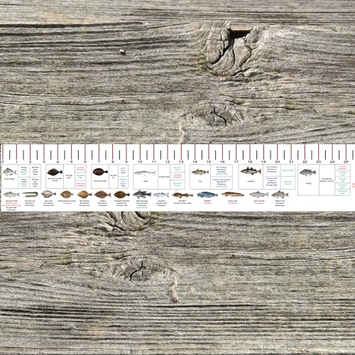 STATE COASTAL FISH RULER with FISH ID and FISHING REGULATIONS - 50 INCH RULER DECALS - style: Massachusetts