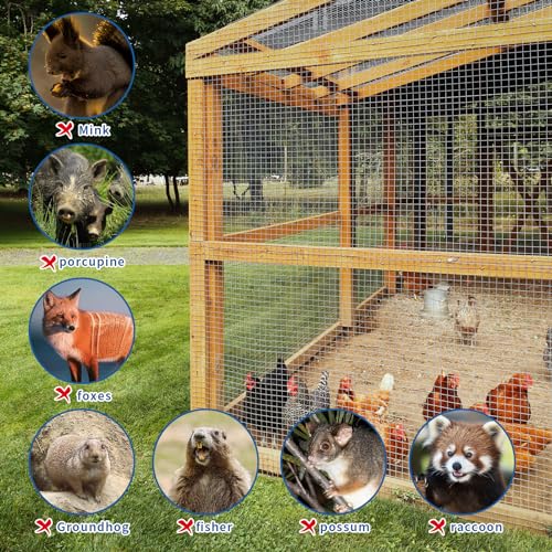 304stainless Steel Welded Wire Mesh, 1/2 Inch Hardware Cloth, Chicken Wire Fence Mesh Cage Poultry Garden Plant Support Containment Fence(15.7in×9.6ft) - size: 1/2inch 15.7in x9.6ft