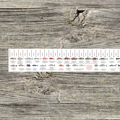 STATE COASTAL FISH RULER with FISH ID and FISHING REGULATIONS - 50 INCH RULER DECALS - style: Alabama