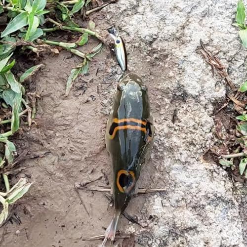 Fishing Lures Large Hard Bait Minnow VIB Lure with Treble Hook Life-Like Swimbait Fishing Bait Popper Crankbait Vibe Sinking Lure for Bass Trout Walleye Redfish - color: 10pcs 4.5cm/3.2g