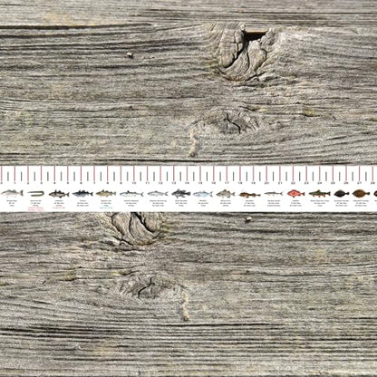 STATE COASTAL FISH RULER with FISH ID and FISHING REGULATIONS - 50 INCH RULER DECALS - style: New Hampshire