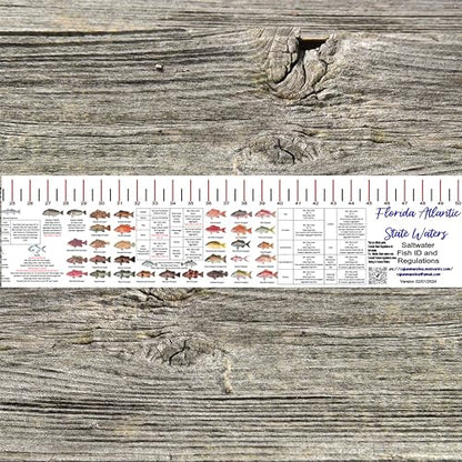 STATE COASTAL FISH RULER with FISH ID and FISHING REGULATIONS - 50 INCH RULER DECALS - style: Florida Atlantic Coast