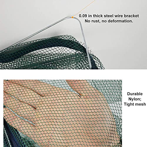 Foldable Fish Trap,Minnow Crawfish Crab Crayfish Bait Net,Portable Shrimp | 1/2 Pcs Crawdad Cast,Nylon Mesh Steel Frame,Durable Lightweight Zipper,Entrances 360 Design,Lakes Rivers Sink Catch - color: 2Pcs 6 holes