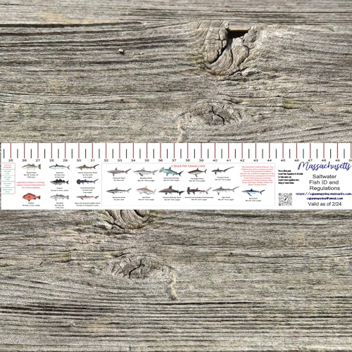 STATE COASTAL FISH RULER with FISH ID and FISHING REGULATIONS - 50 INCH RULER DECALS - style: Massachusetts