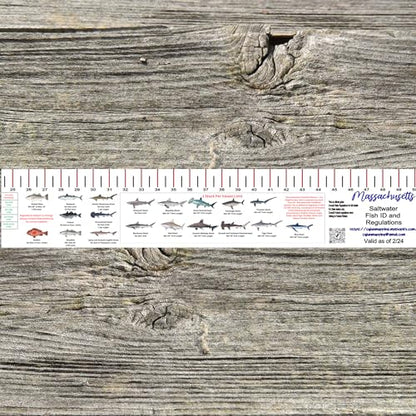 STATE COASTAL FISH RULER with FISH ID and FISHING REGULATIONS - 50 INCH RULER DECALS - style: Massachusetts