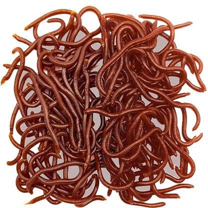 100 Pcs 3.3inch Soft Worms Fishing Lure Baits, Earthworm Baits Lifelike Fake Bloodworm,Fresh Water Fishing Bait - color: Brown