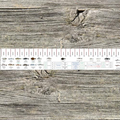 STATE COASTAL FISH RULER with FISH ID and FISHING REGULATIONS - 50 INCH RULER DECALS - style: New Jersey