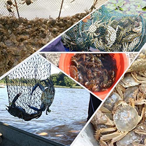Fishing Net Portable and Foldable Umbrella Fishing Bait Net - Easy to Use Fishing Tool for Crayfish,Shrimp,Crab, Catfish - color: 6 Holes