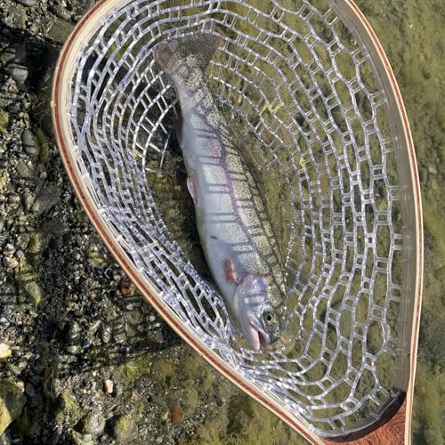 Hipicute Fly Fishing Net, Trout Net, Wooden Frame Fly Fishing Landing Net with Soft Rubber Mesh for Catch and Release, Lightweight Fish Net for Trout Bass, Fly Fishing Gear for Stream Fishing - color: White-01, style: Rectangle Holes