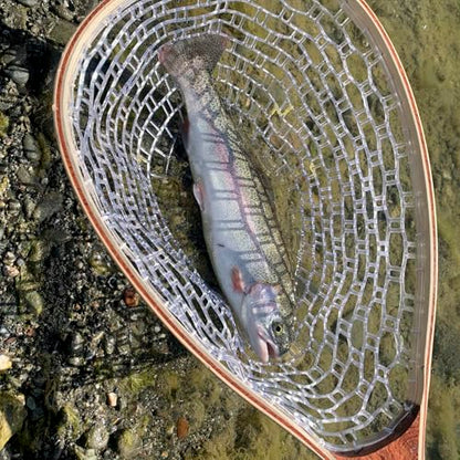 Hipicute Fly Fishing Net, Trout Net, Wooden Frame Fly Fishing Landing Net with Soft Rubber Mesh for Catch and Release, Lightweight Fish Net for Trout Bass, Fly Fishing Gear for Stream Fishing - color: White-01, style: Rectangle Holes