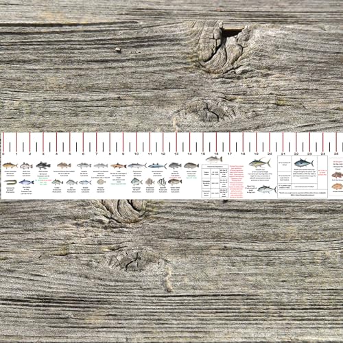STATE COASTAL FISH RULER with FISH ID and FISHING REGULATIONS - 50 INCH RULER DECALS - style: Virginia