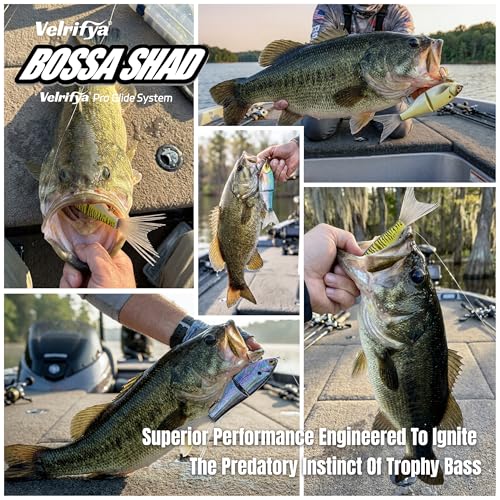 Bossa Shad Multi-Jointed Swimbait – Realistic Shad Profile with Natural Swimming Action for Bass Fishing - color: 03-Ghost Blue