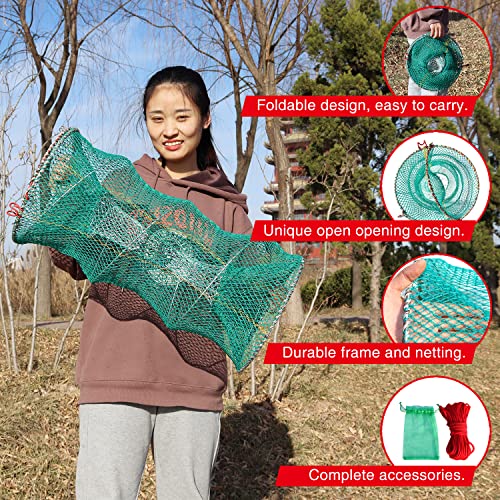 BasicGear Crab Spring Trap 2 pcs - Bait Trap for Lobster, Crawfish, Shrimp, Portable Folding Collapsible Fishing Traps Nets Fishing Accessories