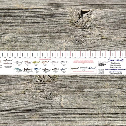 STATE COASTAL FISH RULER with FISH ID and FISHING REGULATIONS - 50 INCH RULER DECALS - style: Connecticut