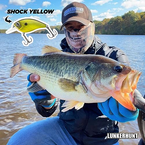 Lunkerhunt Impact Jolt | Crankbait, Deep Diving Hard Bait Fishing Lure | Flat Sided Square Bill, Clear Water, Fresh Water Lure for Bass Fishing, Trout and Spike, Crappie - color: Shock Yellow