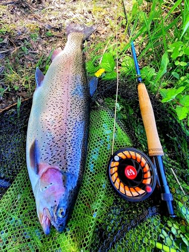 Maxcatch Extreme-X Fly Fishing Rod and Reel Combo, 3-8wt Complete Starter Fishing Outfit with Fly Box, Flies, Rod Clip Holder, Rod Case, Extra Tip Section - size: 8wt-9' 4pc Rod, 7/8wt Reel