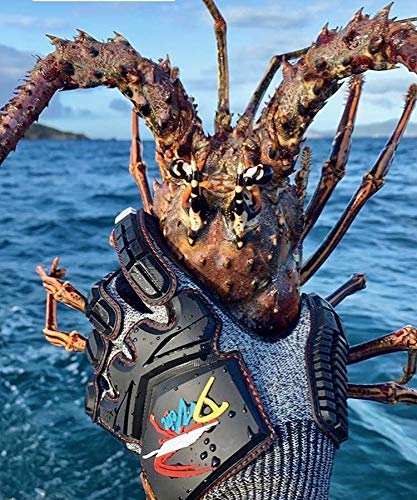D Vein Lobster Diving Gloves, Cut & Puncture Resistant for Spearfishing - size: X-Large