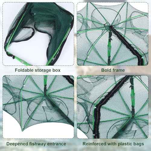 Casting Nets for Fishing Collapsible 6 Holes Large Minnow Cage Foldable 23.6 x 8.7 Inch with Bait Balls Small Fish Net and Rope for Crab Shrimp Crawdad Lobster Crayfish Catfish