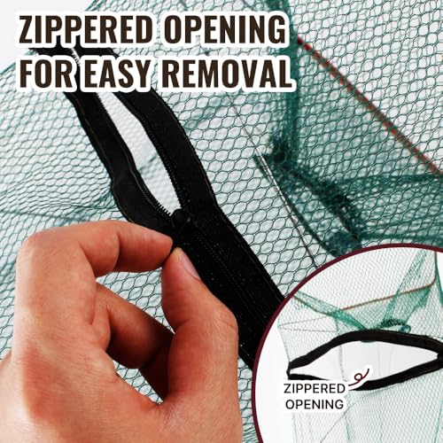 2 Pack Minnow Trap for Bait Fish Foldable Fishing Net with Dual Entrances Zippered Removal Access 2.7 Inch Openings Portable Small Fish Crawfish Shrimp Crayfish Trap for Lake Pond Fishing