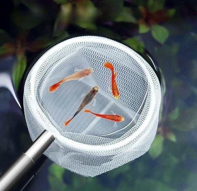 Fish net for Fish Tank 2 Pieces of Aquarium with Handles Small net | fish tank accessories 4 inches / 3 inches Shrimp Tank Accessories,Suitable for small pets like little fish and shrimp